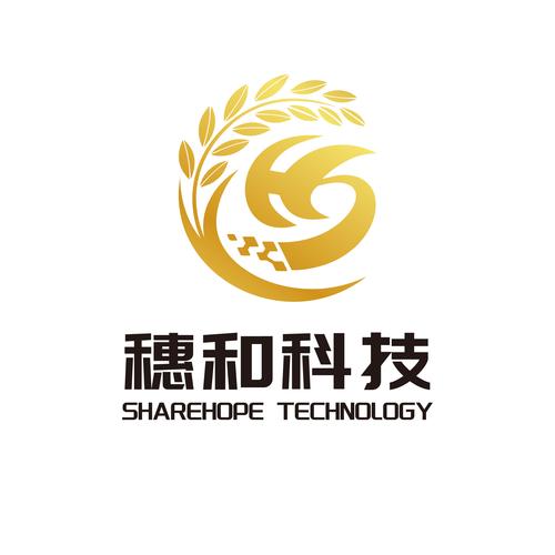 邓莹与公司经营范围 计算机系统服务、人工智能行业应用及普通机械设备安装服务解析